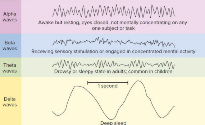 Dream Glossary